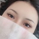 스텔라속눈썹