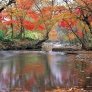 추부면1084 이미지