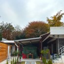 정담죽 | 양평 정담 양수리 백숙 닭볶음탕 맛집 두물머리 구경 후 먹기 좋은 식당