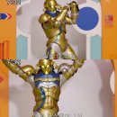 황소미가 이미지