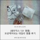 [셀라딕스131 앰플] 여름철 모공케어, 피지조절 관리로 데일리 앰플 사용후기
