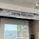 팀버드 | 고창갯벌빅버드레이스 2025 참가후기
