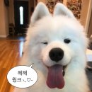 진천쌀빵 미잠미과(하남 미사직영점) 이미지