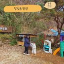 펜션161 | 아이 겨울방학을 맞아 부모님과 함께 다녀온 전라도독채펜션 달빛품 펜션