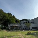 연못이 있는 집 | 천연 잔디와 연못이 있는 청주 애견카페/ 모리네집