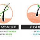 제비인터내셔널