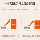 구증구포흑도라지차