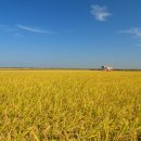 교동정미소 이미지