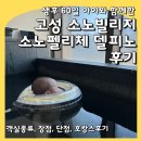 놀아줄개 | 고성 소노펠리체 델피노 생후 60일 아기와 호캉스 추천 후기 (울산바위 뷰 룸 번호, 장점, 단점)