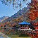 전북미경산한우협동조합 이미지