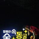 장령산자연휴양림야외음악당 네이버블로그
