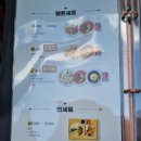 회기역 분식 웰돈카츠&amp;떡볶이 경희대점 치즈카츠 로제떡볶이 맛집