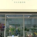 오도르플라워