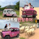 목장신정절목 | 나트랑 판랑 사막투어 베나자 프라이빗 단독 모닝 투어 예약 및 후기