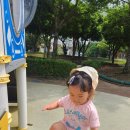 노형제2근린공원 이미지