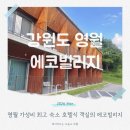 태백교육도서관 | 영월 가성비 숙소 에코빌리지 왕사남 청령포 여행 숙소 추천