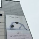필라킹운동스튜디오 | 평택요가 송탄 '요가앤필라스튜디오' 힐링빈야사 요가 수업 후기