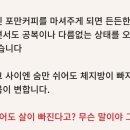 [내돈내산] 쏘지니 다이어트 이너세라 포만커피 2주 후기