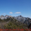 11545-05-31-14 | 북한산(北漢山) 설경(雪景)에 정신 빼앗겨 비봉능선으로 향했다.