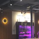 육미숯불 | 동탄역 맛집 고깃집 술집 겸 단체회식 가능 육미명가 갈매기살 후기
