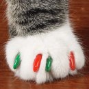 기분 존 이미지