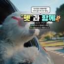 780214 네이버블로그