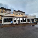 양양하다 이미지