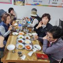 신안 임자도 튤립축제^^^ 이미지