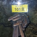 전라남도해양수산과학관 이미지