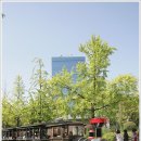 사성공원 이미지