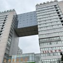 천도국제 이미지