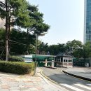 송도동미용실 차차살롱 송도 1공구 단발 펌 잘하는 곳