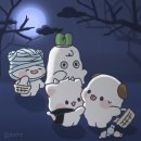 스튜디오코뜨 이미지