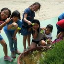 음봉초등학교 이미지