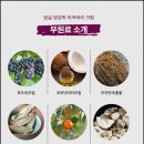 임실엉겅퀴