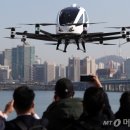 개인(이항) 이미지