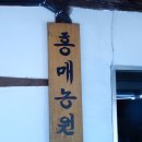 양지대추농원