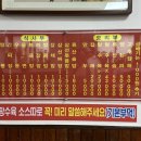 목화반점 이미지