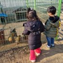 대산자연농원