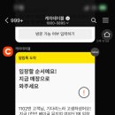 현대포장