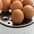 루크파트너스 | 계란 삶는 사람 있음? 내 주방 치트키 '루크 올스텐 계란찜기' 레알 솔직후기 (삶의 질 수직상승템)"
