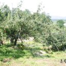 소월농장 이미지