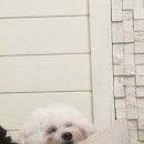 연두살롱 이미지