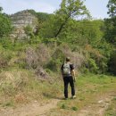 부인농원 이미지