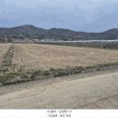 이의수농장 네이버블로그