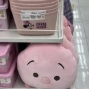 야움 | 한여름 대구 가보진 않았지만 뜨거운 줄은 원래 알고 있었고