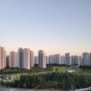 데시앙부동산중개사무소 이미지