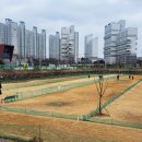 정촌 파크골프장 이미지