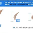 성안호 이미지