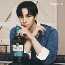 싱글톤 이미지
